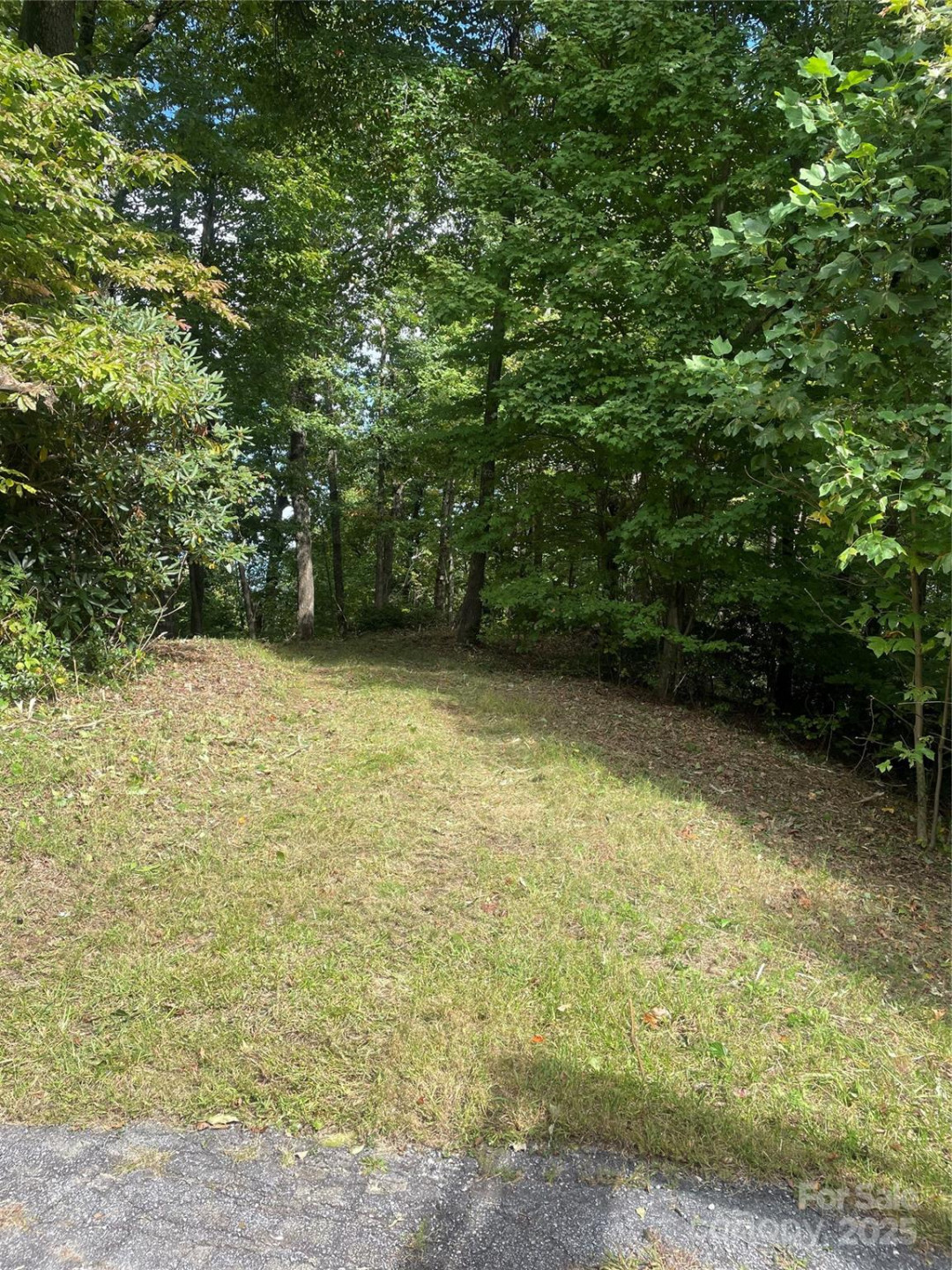 9999 High Cliffs Trail - Photo 17