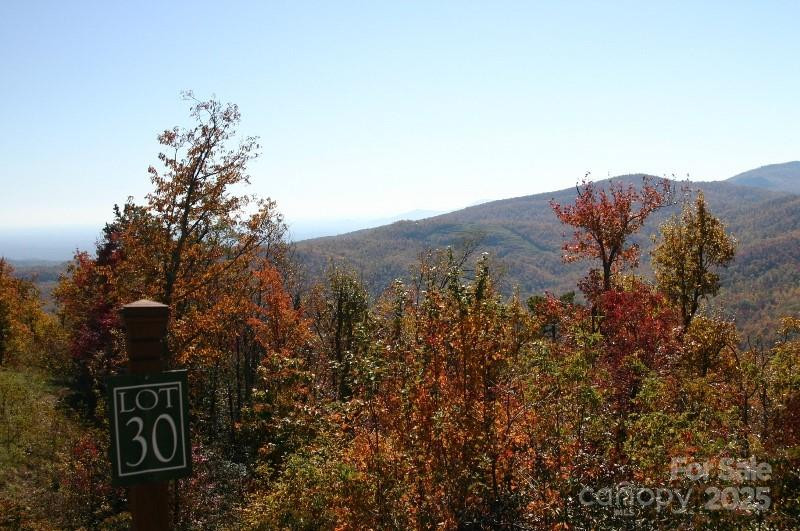 9999 High Cliffs Trail - Photo 18
