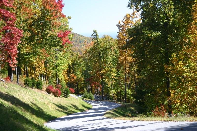 9999 High Cliffs Trail - Photo 20