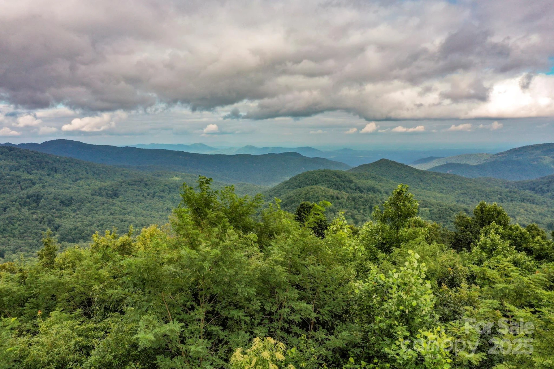 9999 High Cliffs Trail - Photo 3