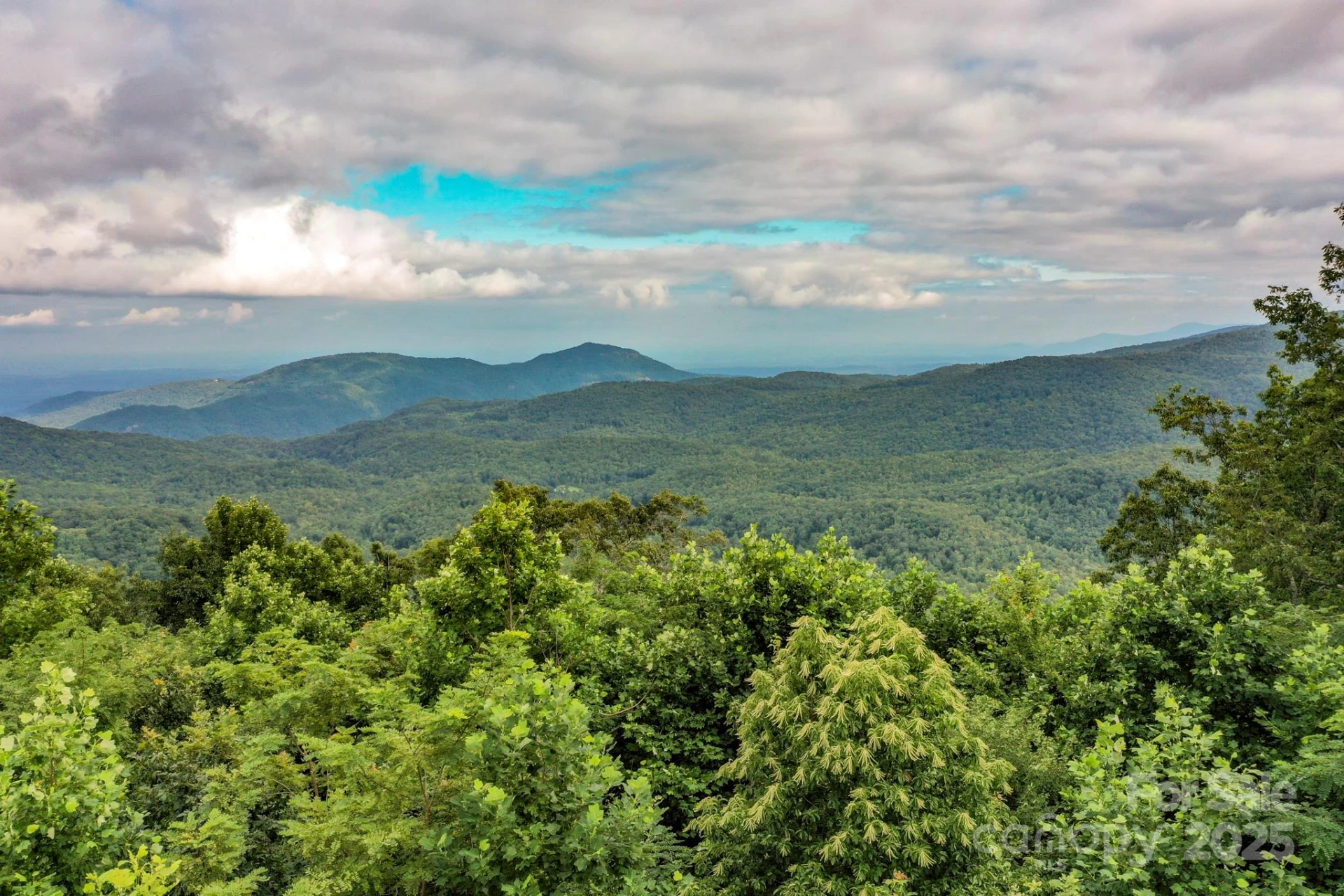 9999 High Cliffs Trail - Photo 4