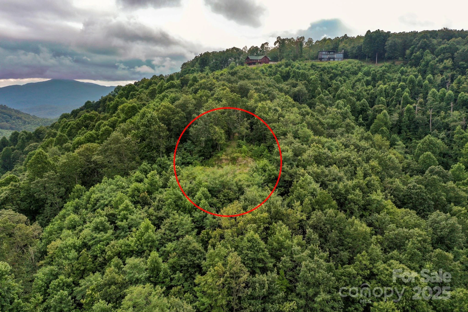 9999 High Cliffs Trail - Photo 5
