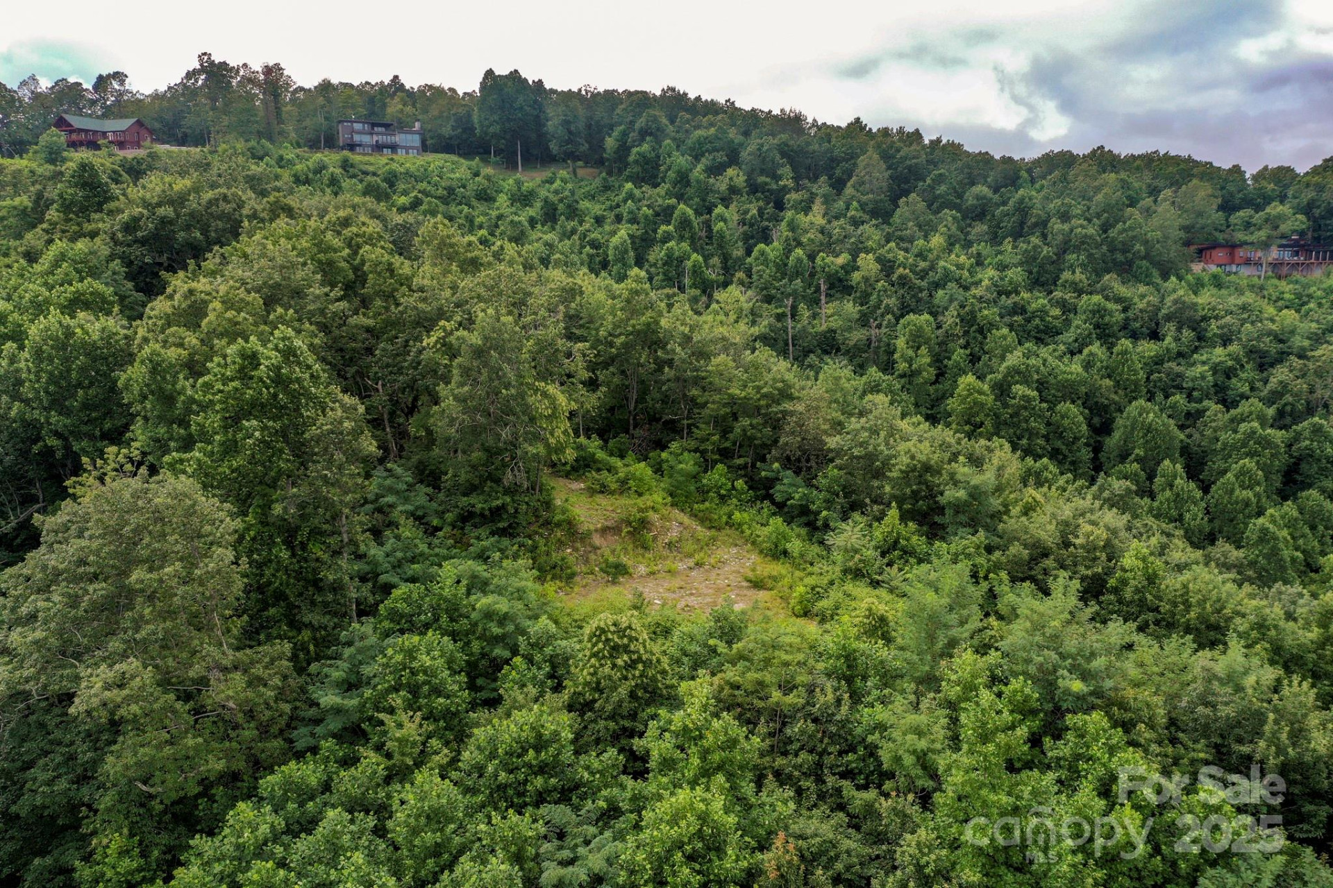 9999 High Cliffs Trail - Photo 6