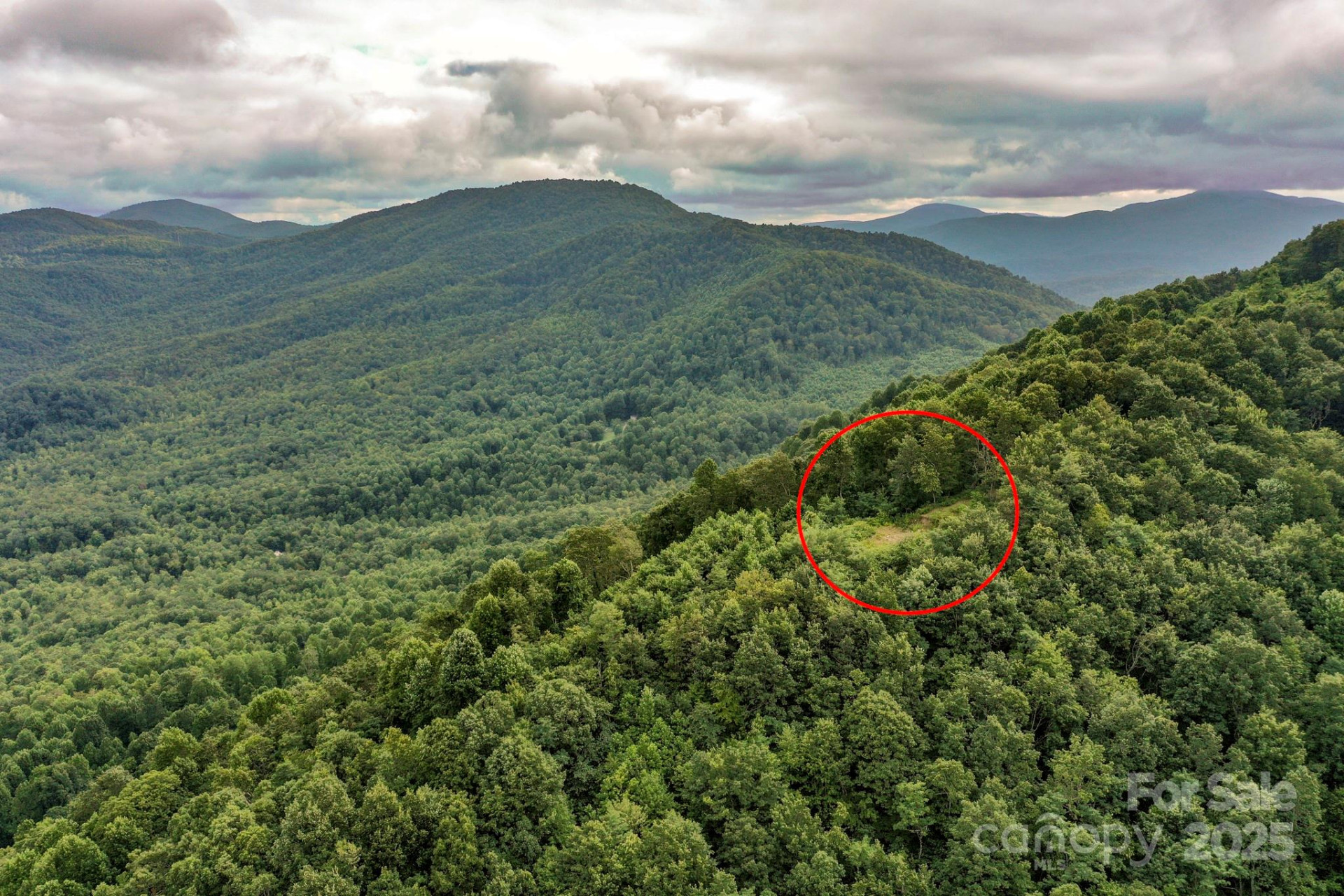 9999 High Cliffs Trail - Photo 8