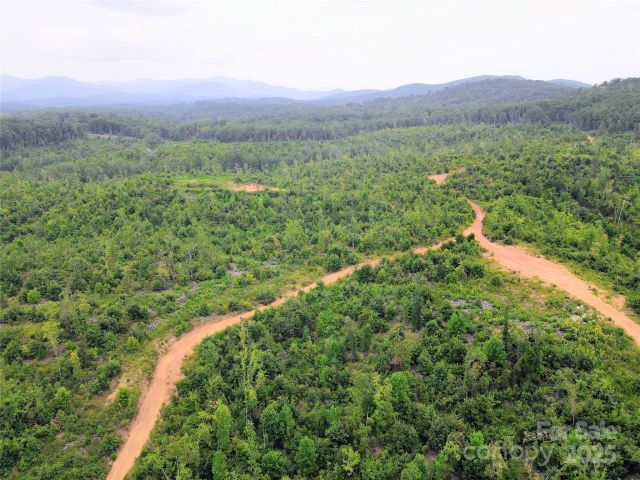 V/L Youngs Creek Road