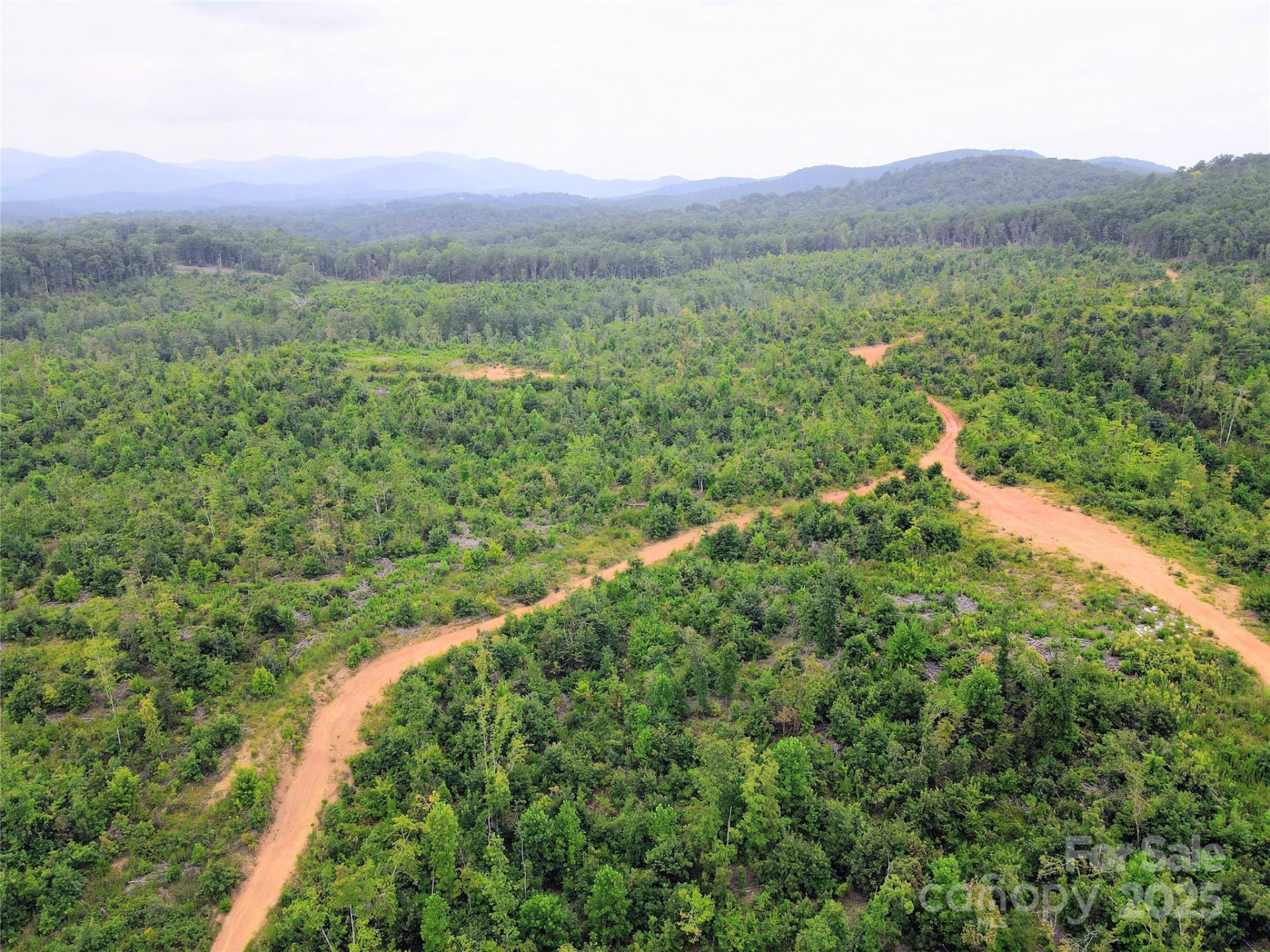 V/L Youngs Creek Road