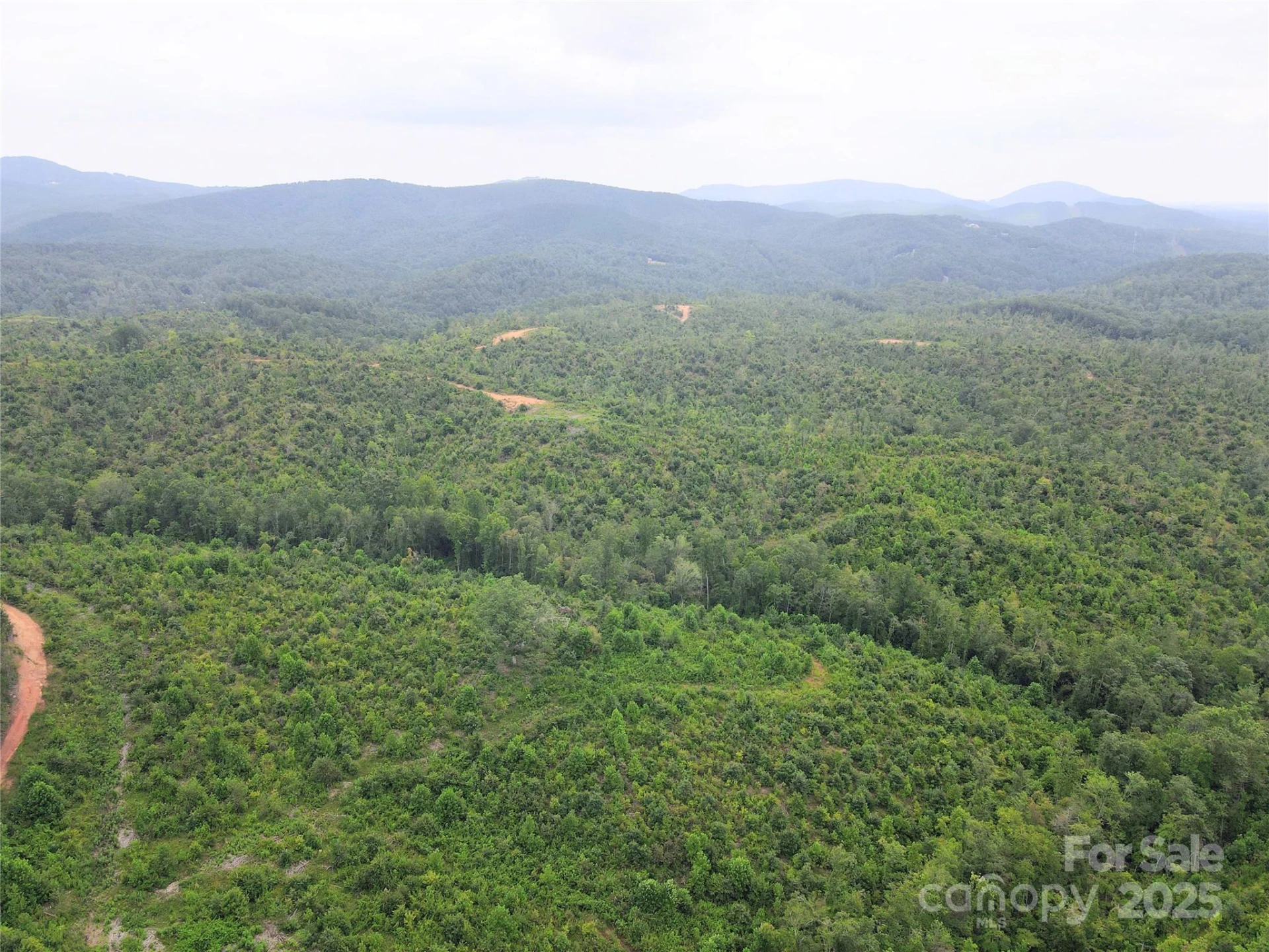 V/L Youngs Creek Road - Photo 2