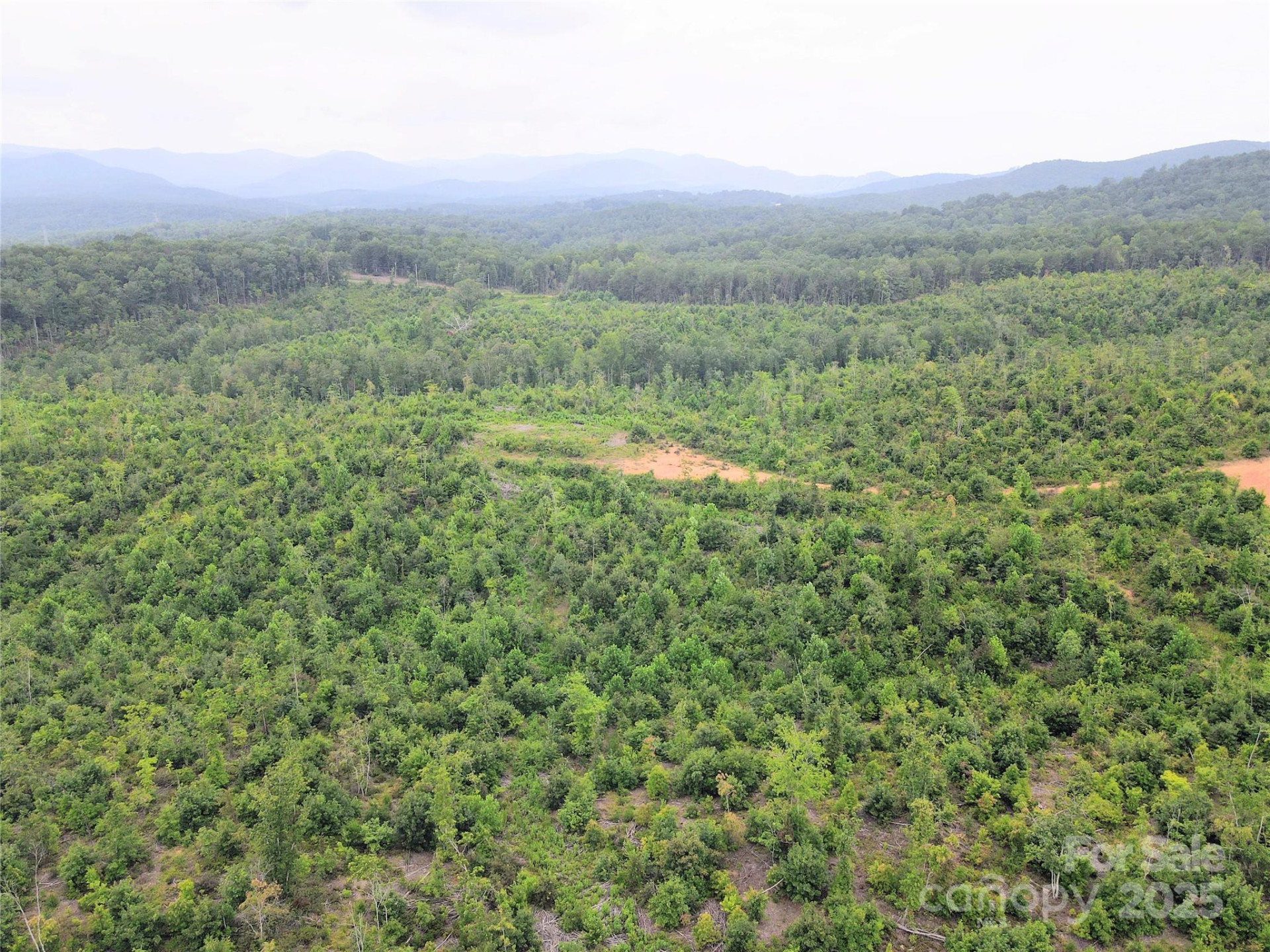 V/L Youngs Creek Road - Photo 3