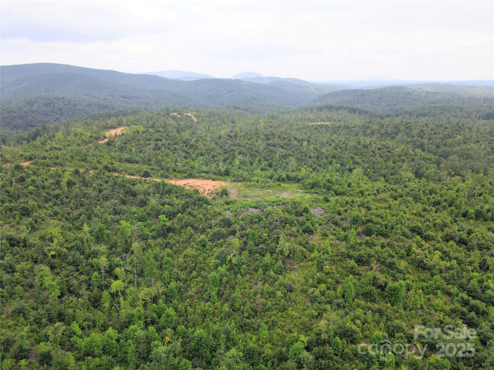 V/L Youngs Creek Road - Photo 4