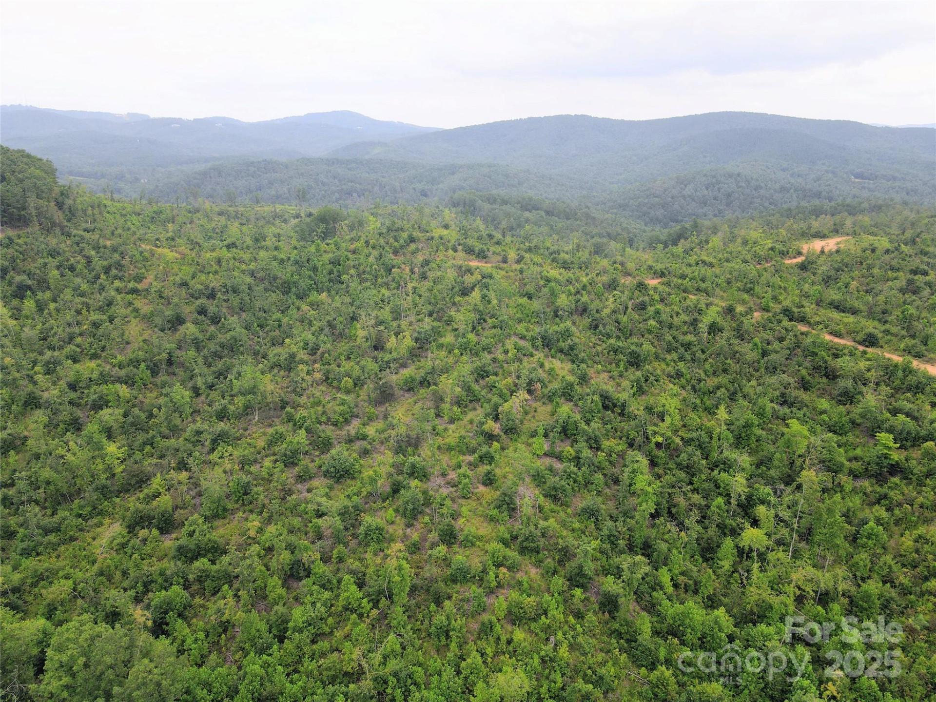 V/L Youngs Creek Road - Photo 5