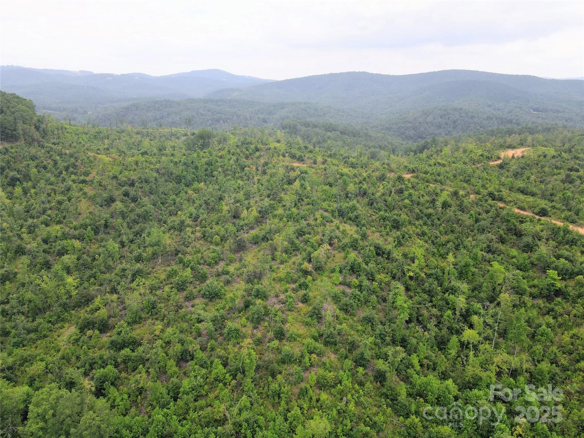 V/L Youngs Creek Road - Photo 5