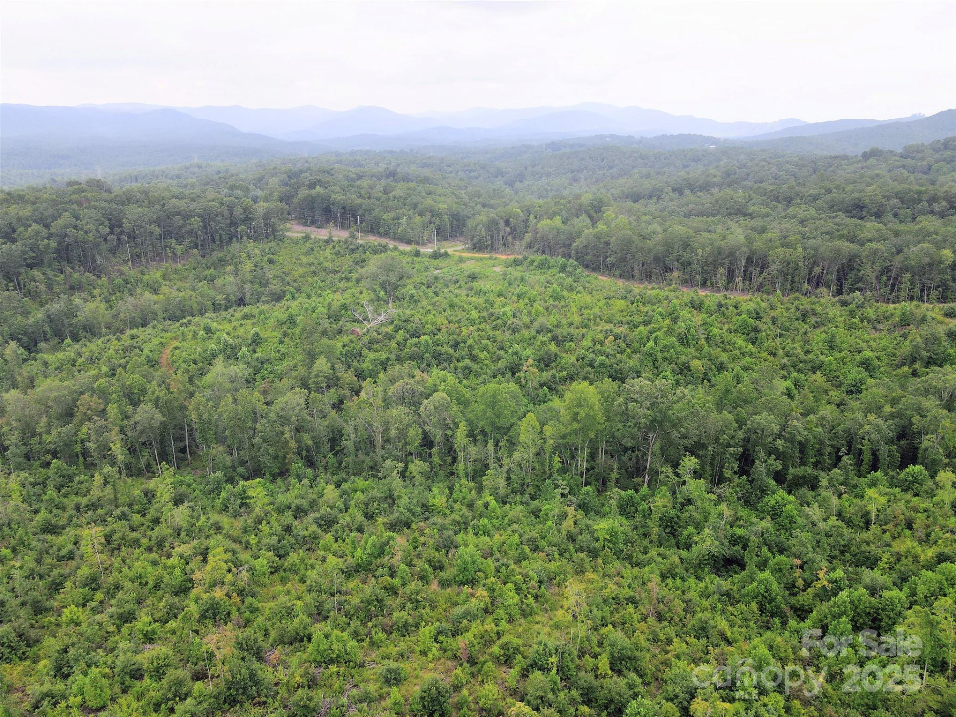 V/L Youngs Creek Road - Photo 6