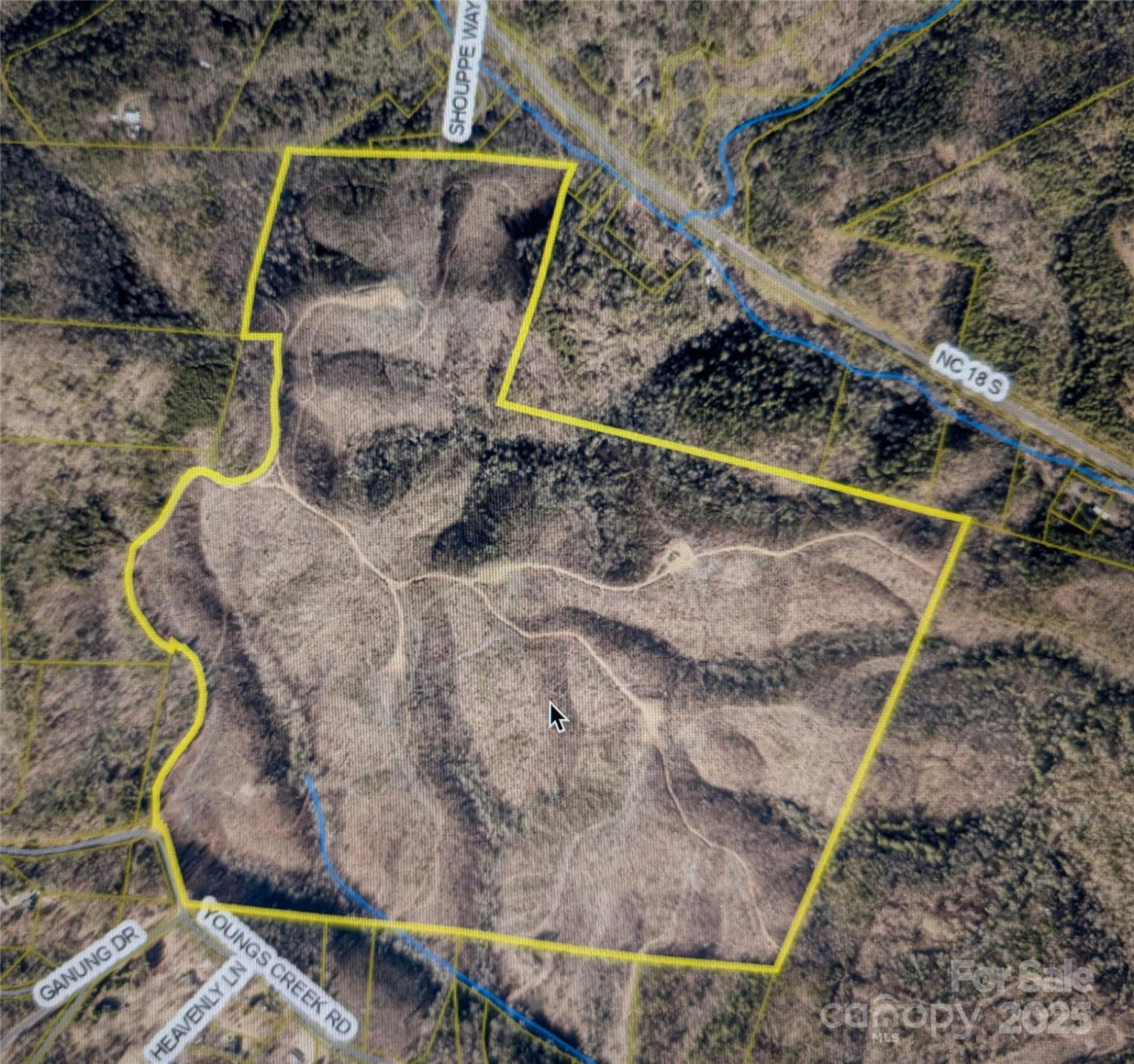 V/L Youngs Creek Road - Photo 7