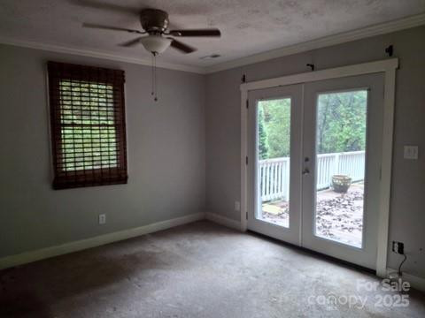 29 Toad Drive - Photo 13