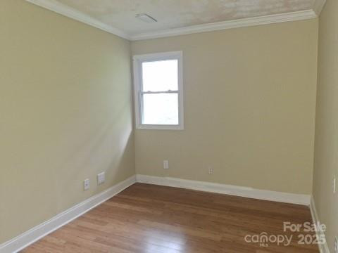 29 Toad Drive - Photo 14