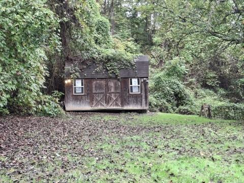 29 Toad Drive - Photo 20