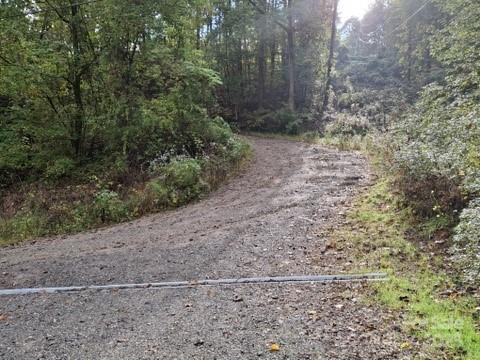 29 Toad Drive - Photo 3