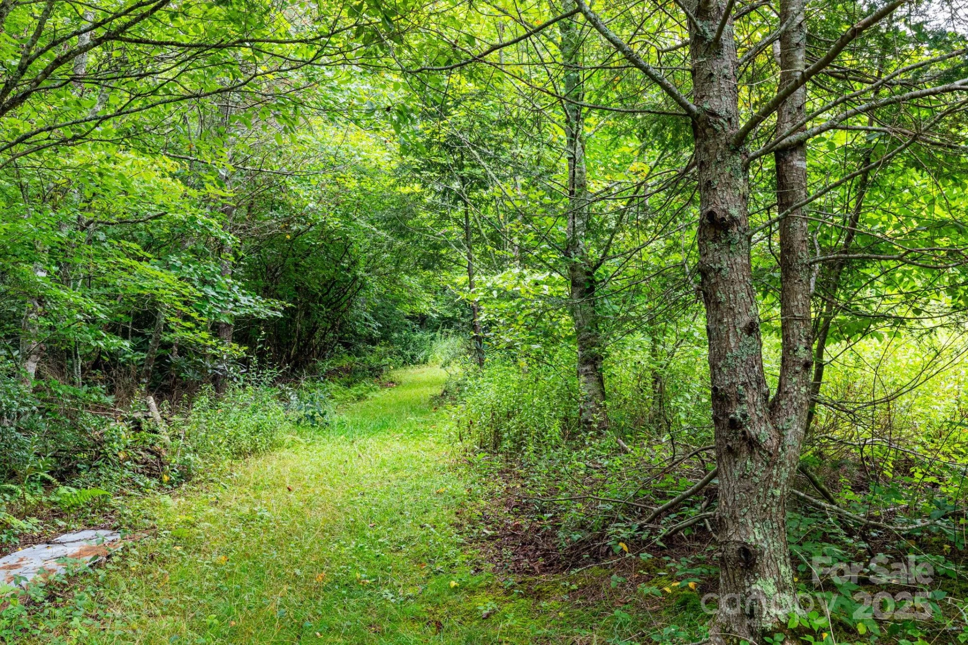 99999 Rock Creek Road - Photo 2
