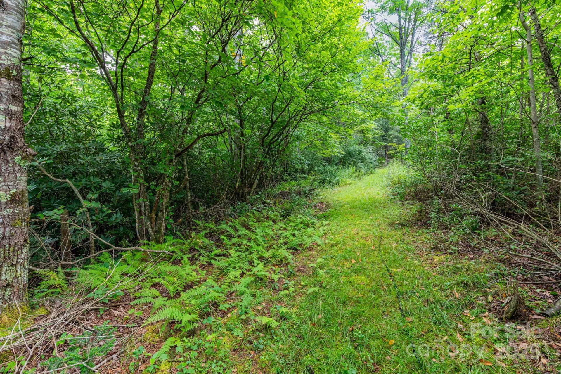 99999 Rock Creek Road - Photo 3