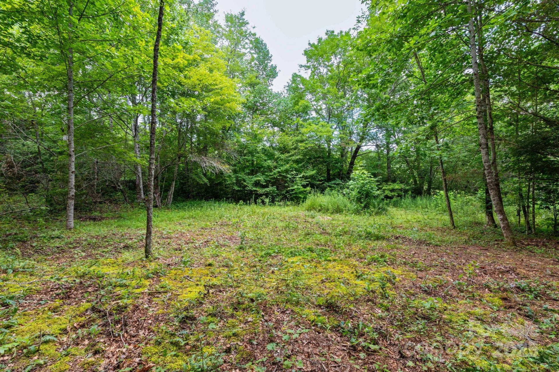 99999 Rock Creek Road - Photo 4