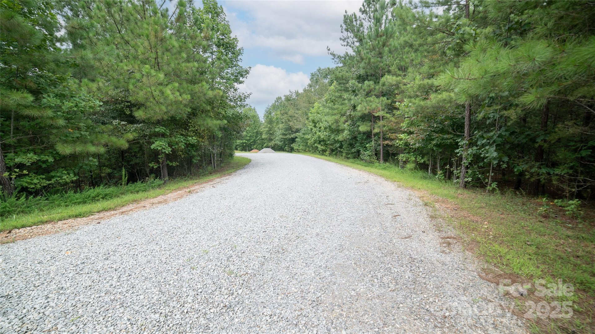 Lot 84 Smoothstem Court - Photo 6