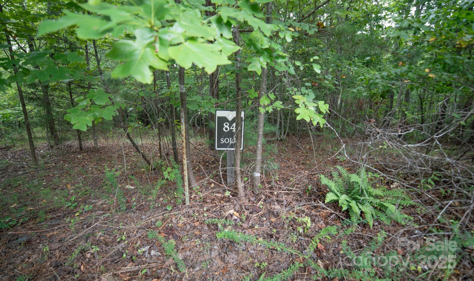 Lot 84 Smoothstem Court - Photo 7