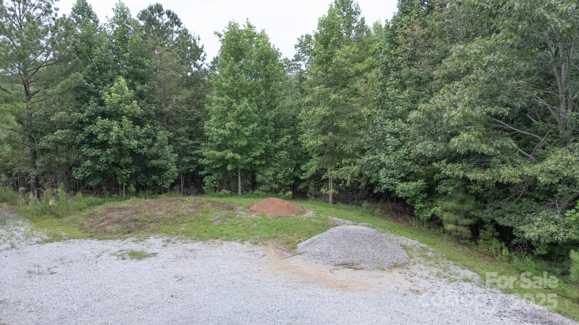 Lot 84 Smoothstem Court - Photo 8