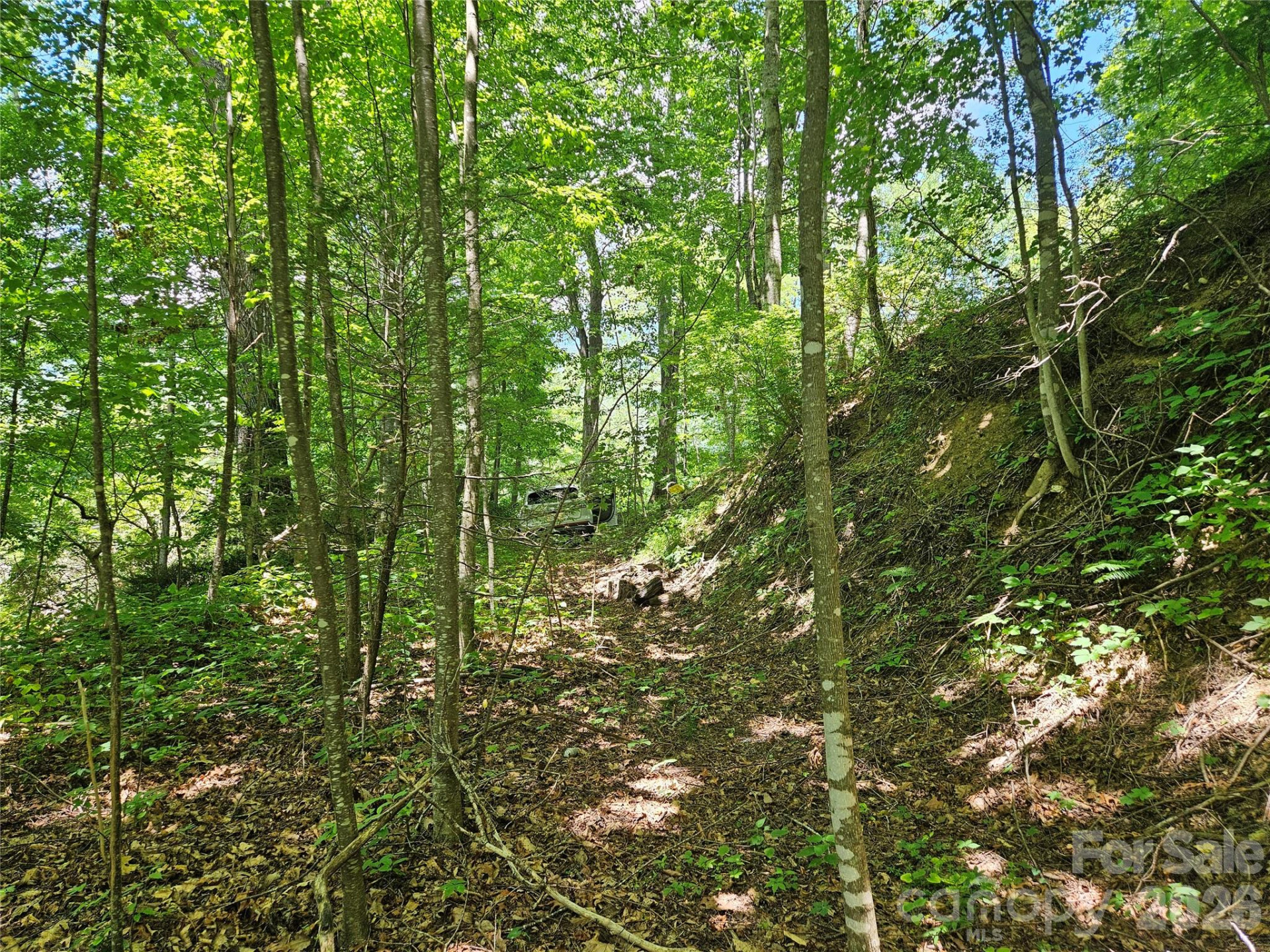 99999 Maplewood Drive - Photo 4