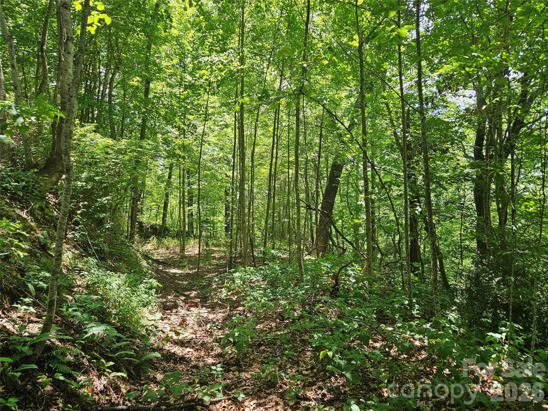 99999 Maplewood Drive - Photo 5