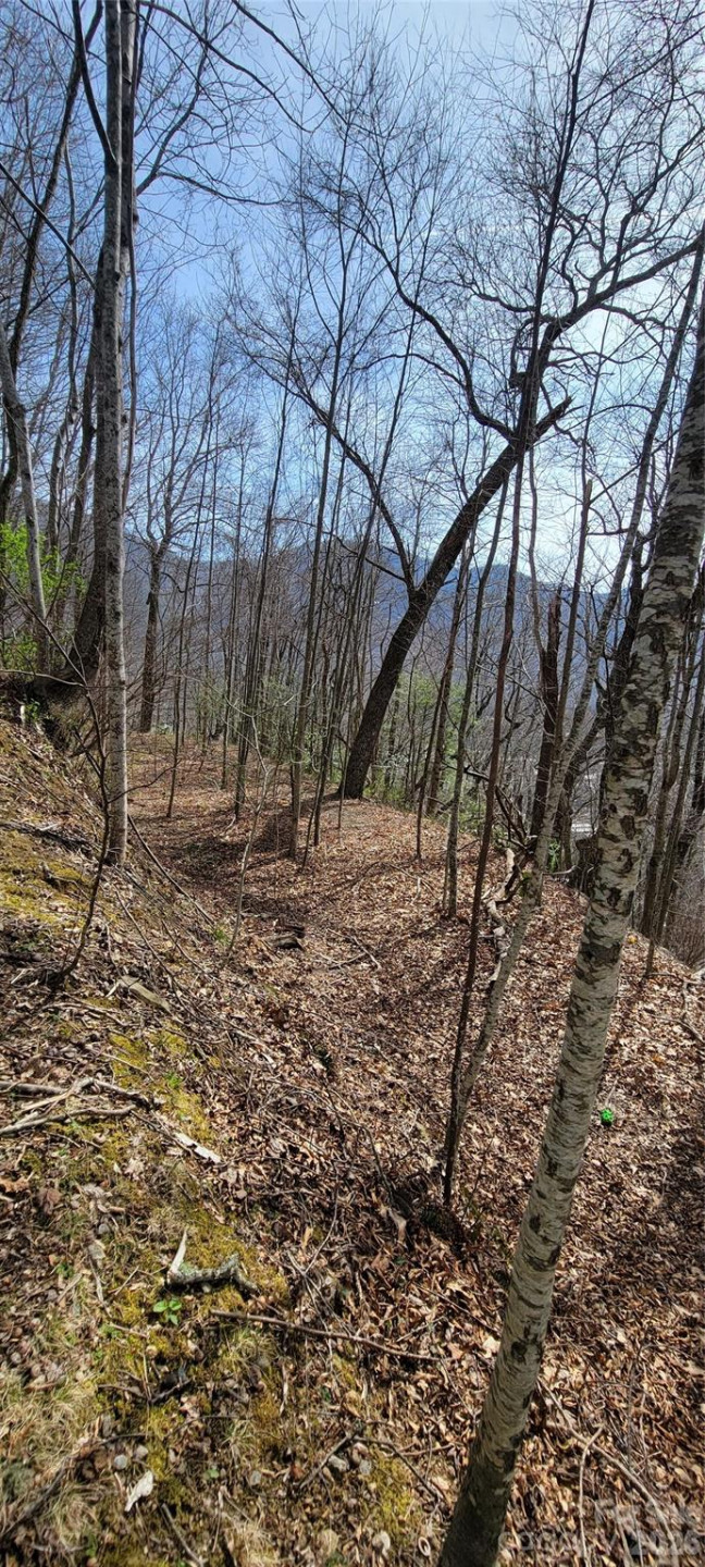 99999 Maplewood Drive - Photo 6