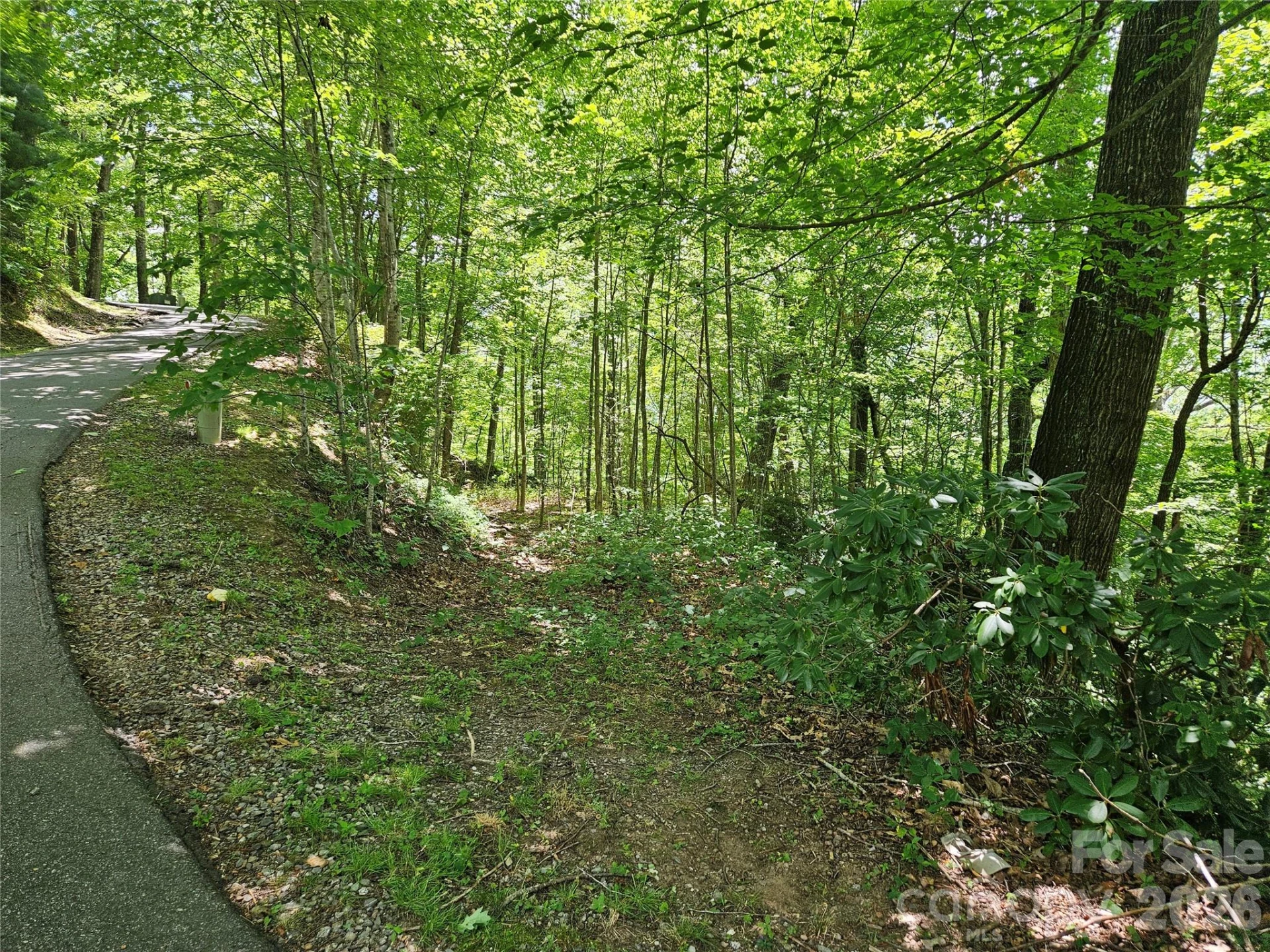 99999 Maplewood Drive - Photo 9