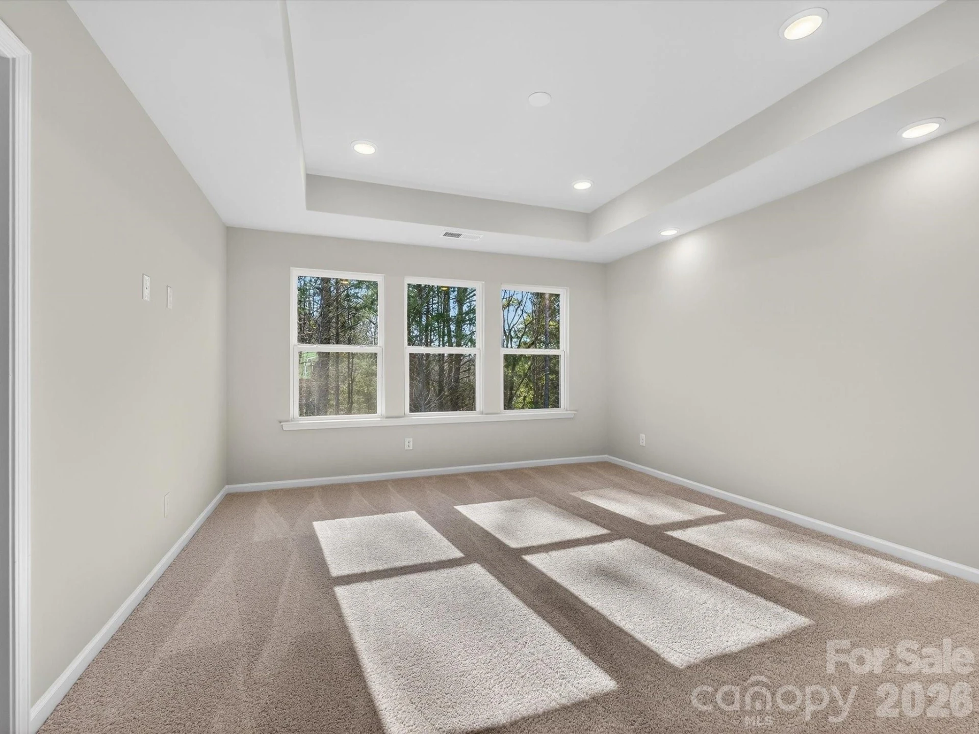 241 Alluvium Lane - Photo 15
