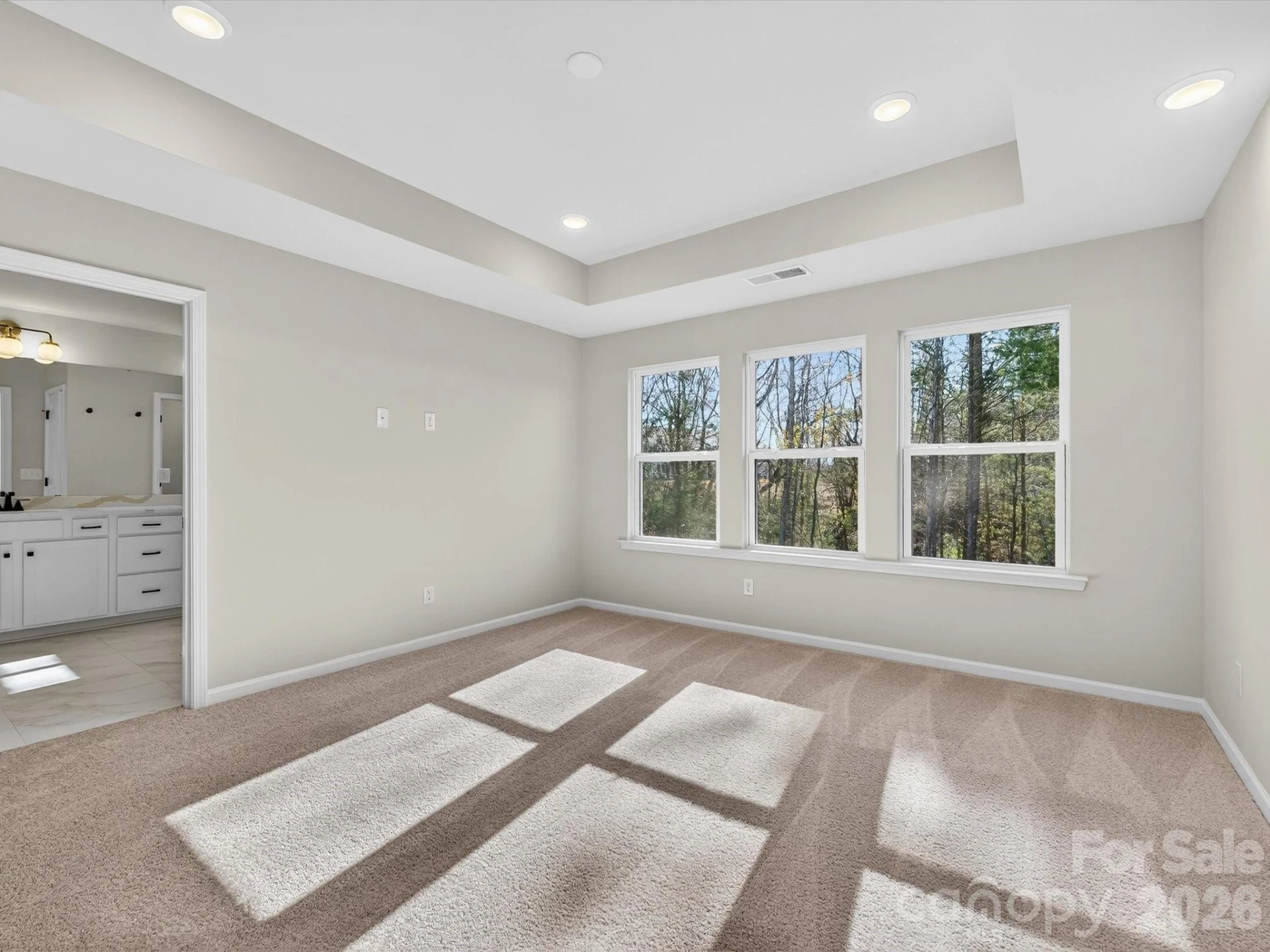 241 Alluvium Lane - Photo 16