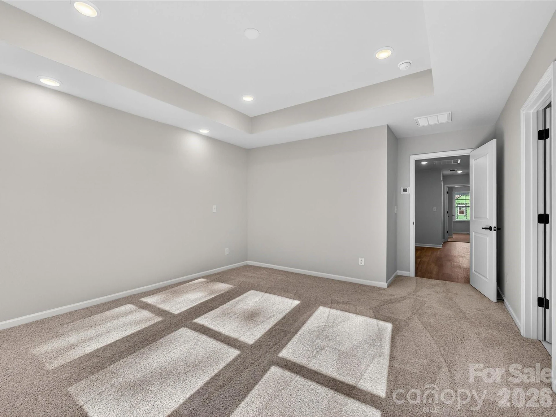 241 Alluvium Lane - Photo 17