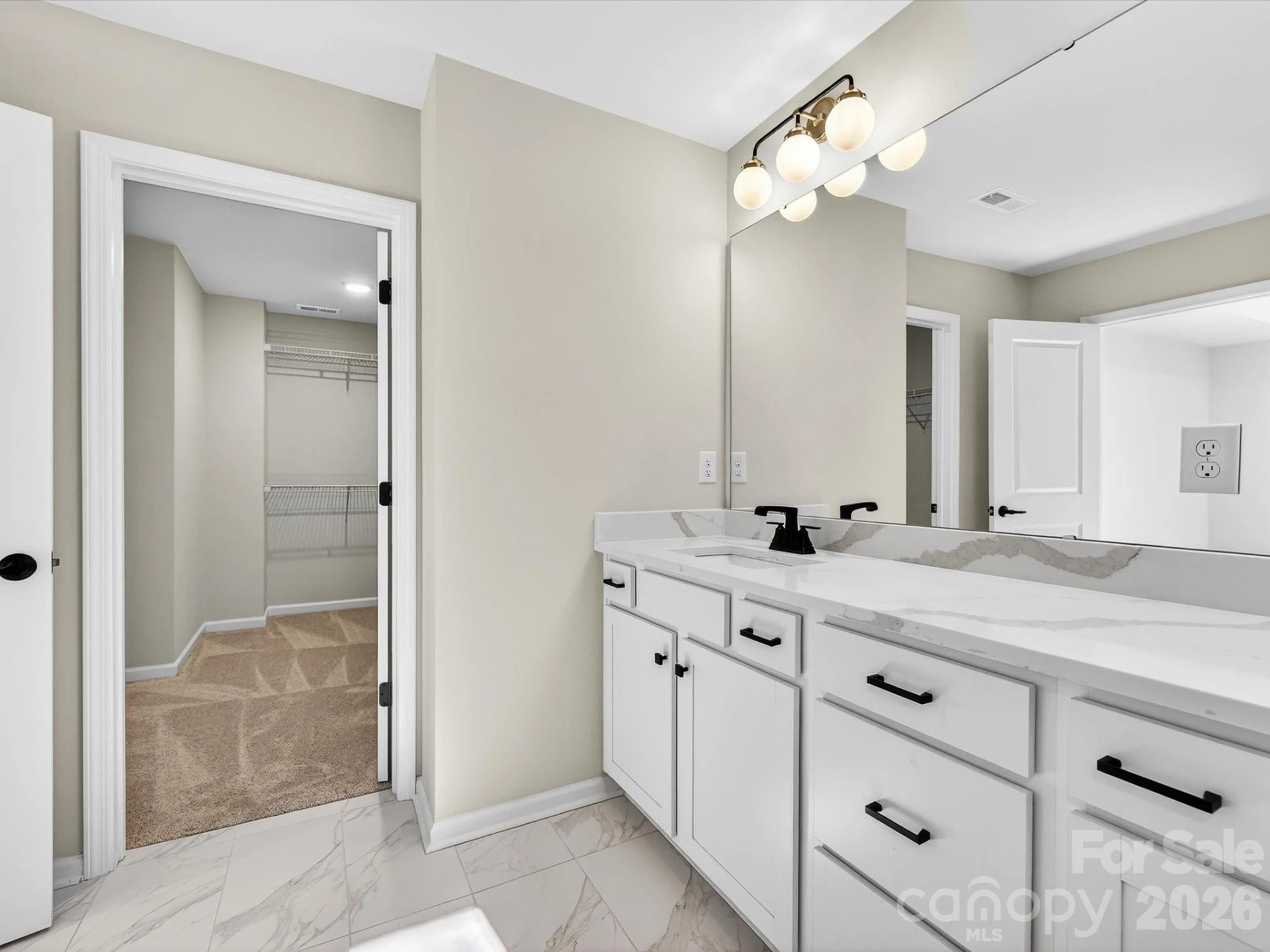 241 Alluvium Lane - Photo 19