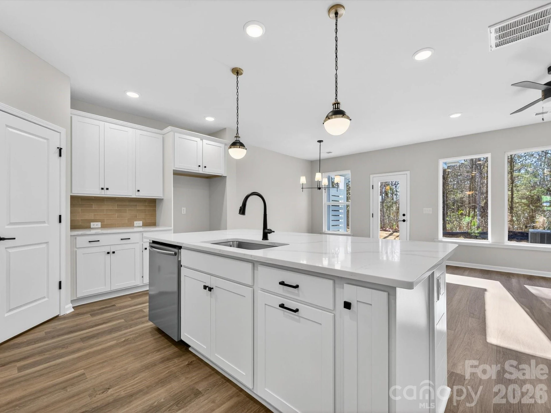 241 Alluvium Lane - Photo 4