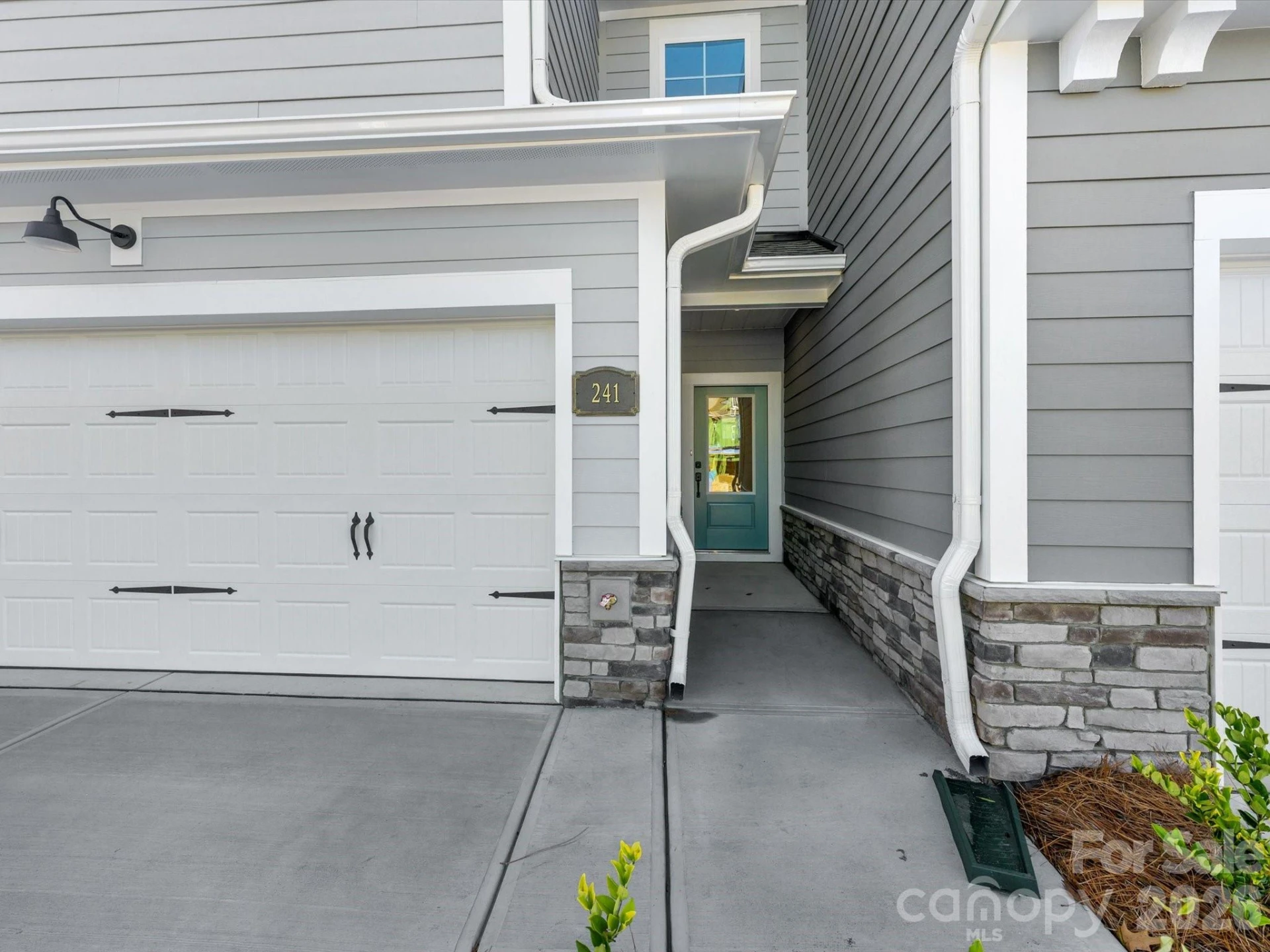 241 Alluvium Lane - Photo 9