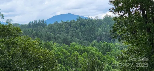 LOT 3 Cross Creek Trail