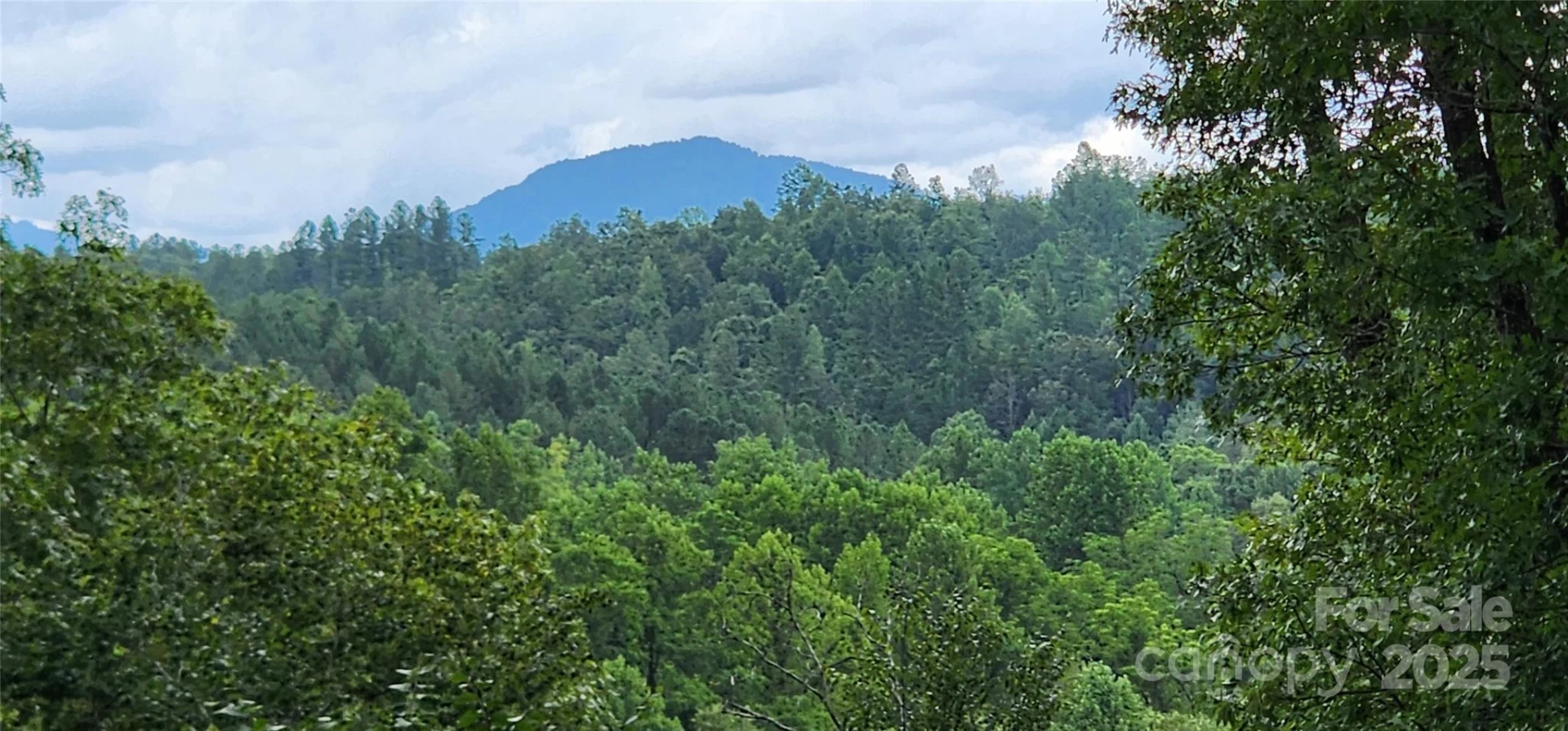 LOT 3 Cross Creek Trail