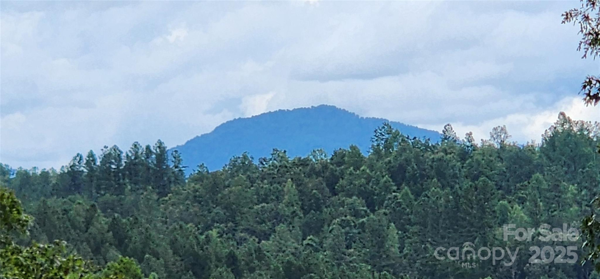 LOT 3 Cross Creek Trail - Photo 2