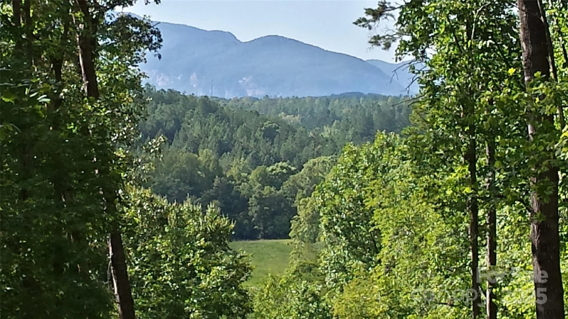 LOT 3 Cross Creek Trail - Photo 11