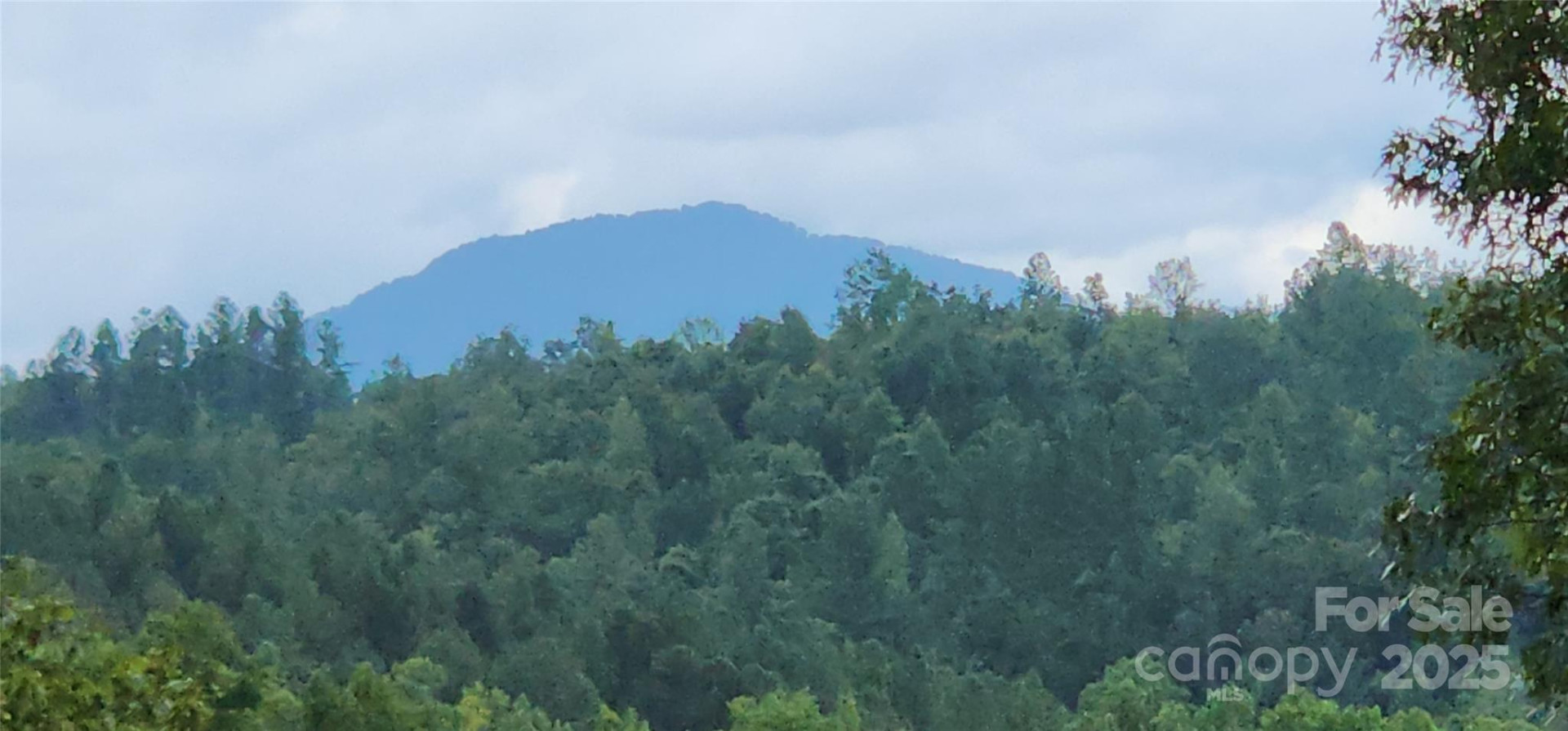 LOT 3 Cross Creek Trail - Photo 12