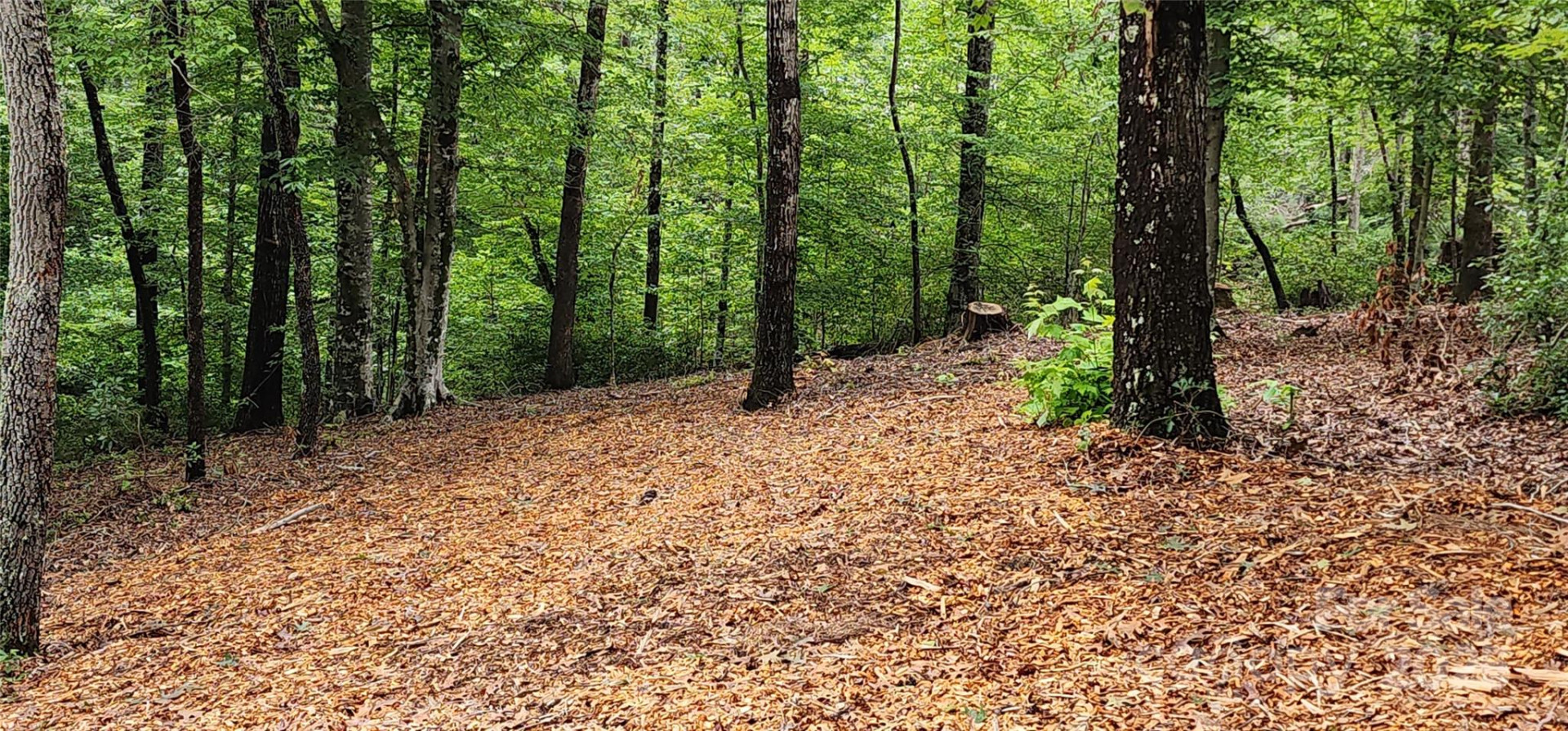 LOT 3 Cross Creek Trail - Photo 13