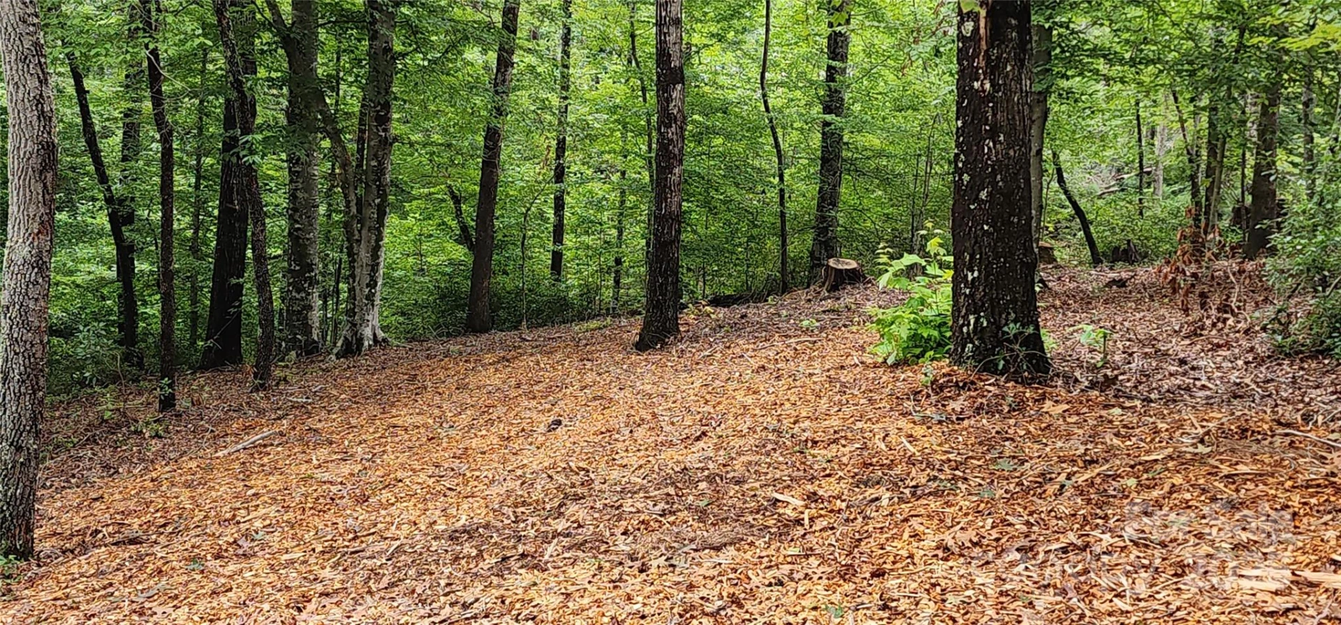 LOT 3 Cross Creek Trail - Photo 13