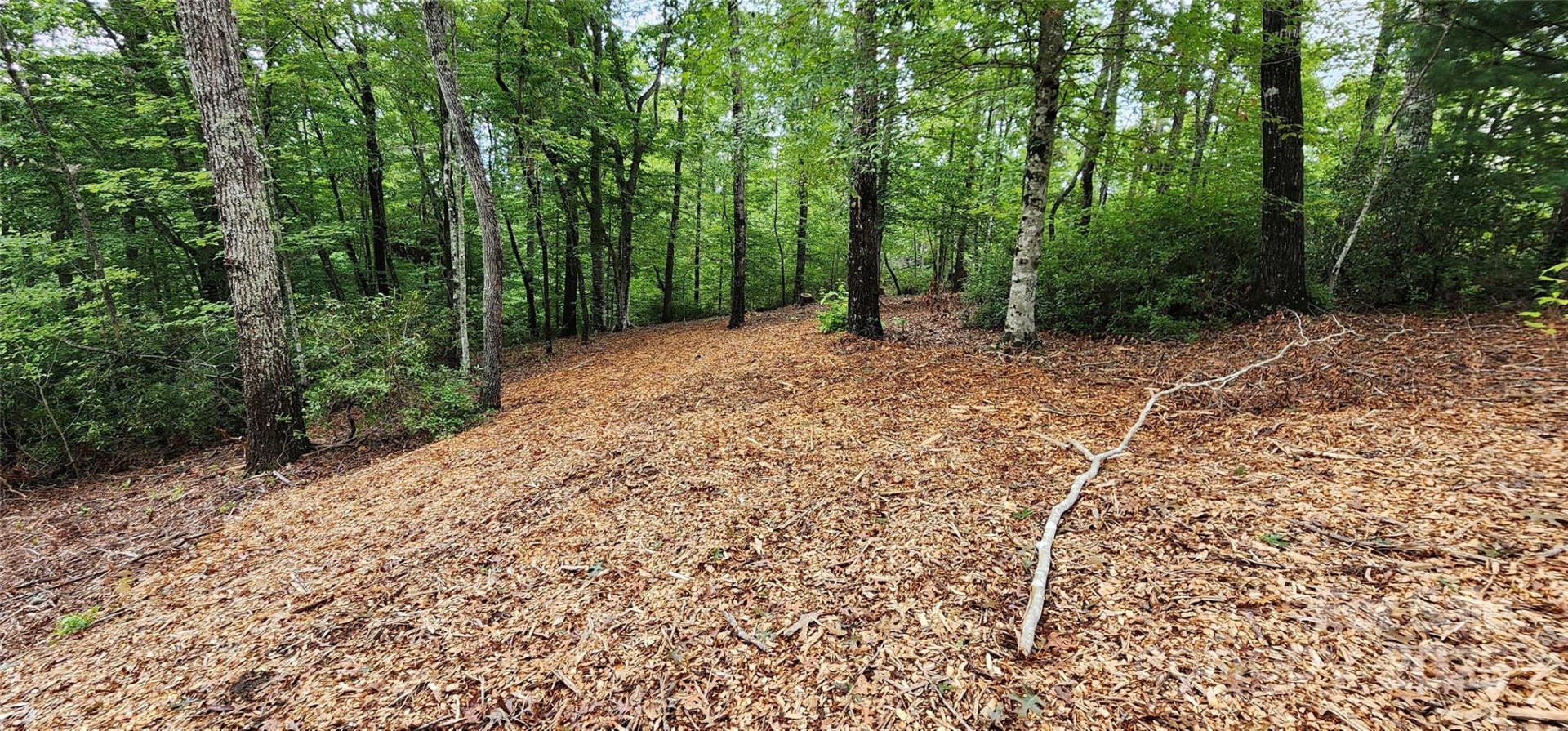 LOT 3 Cross Creek Trail - Photo 14