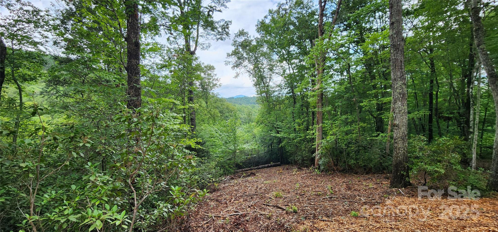 LOT 3 Cross Creek Trail - Photo 15