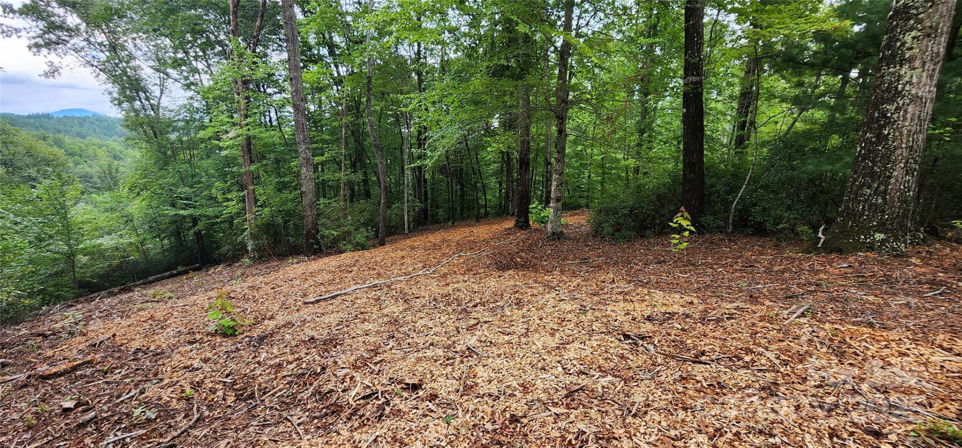 LOT 3 Cross Creek Trail - Photo 16