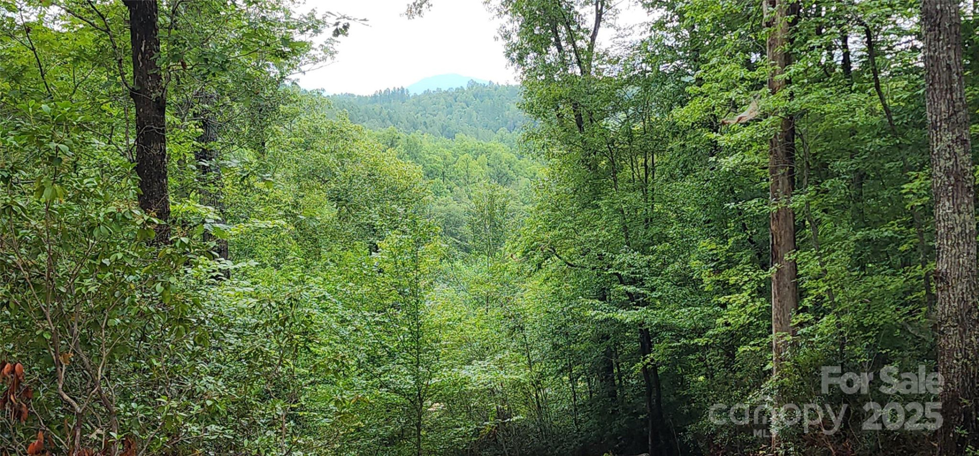 LOT 3 Cross Creek Trail - Photo 17