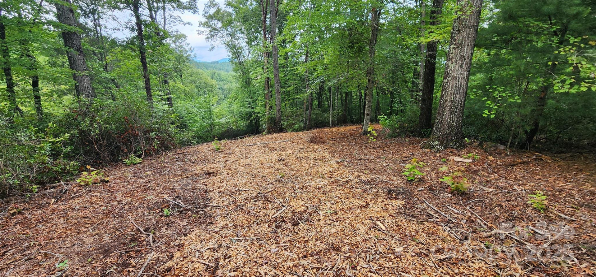 LOT 3 Cross Creek Trail - Photo 18