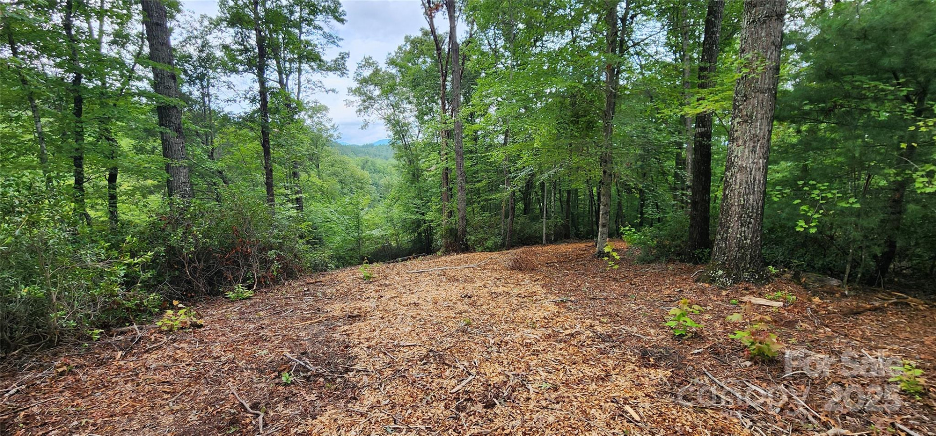 LOT 3 Cross Creek Trail - Photo 19